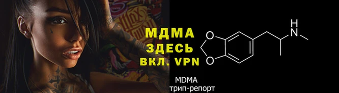 винт Бородино