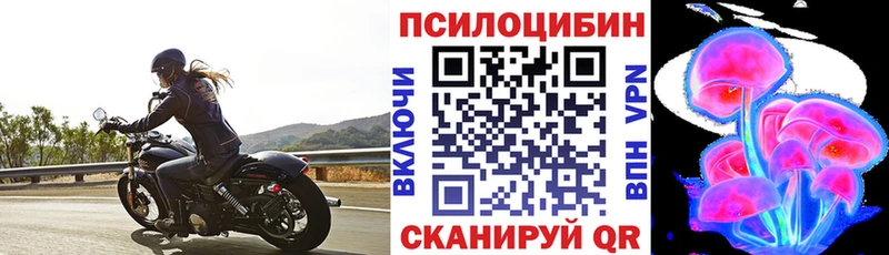 Псилоцибиновые грибы Psilocybe  цена наркотик  Бузулук 